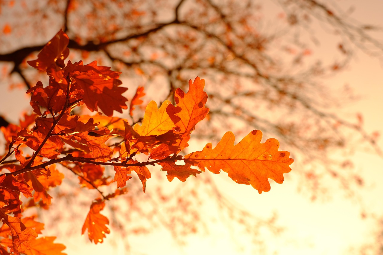 my first test post